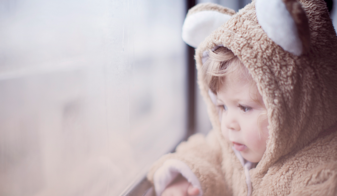 boy in teddy bear costume