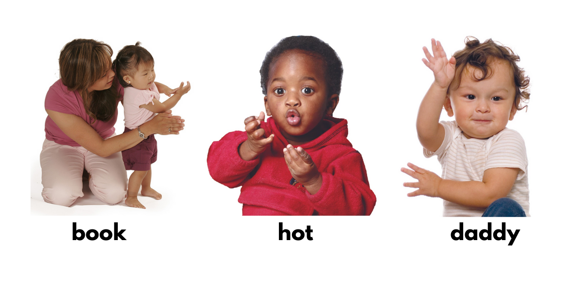 babies doing sign language