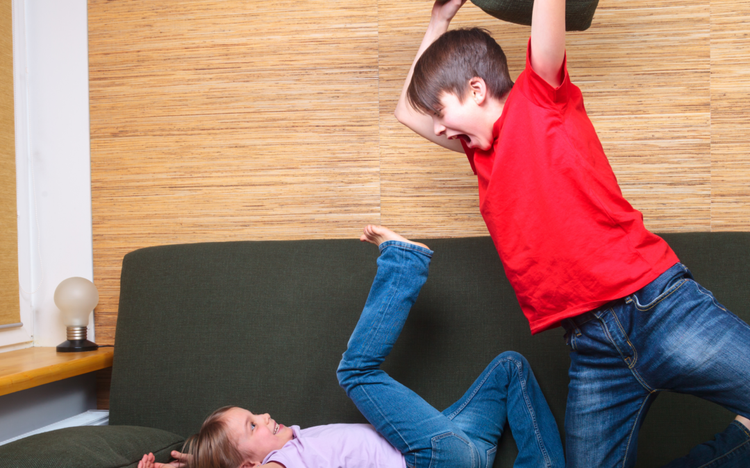 Nannies Navigating Sibling Disputes